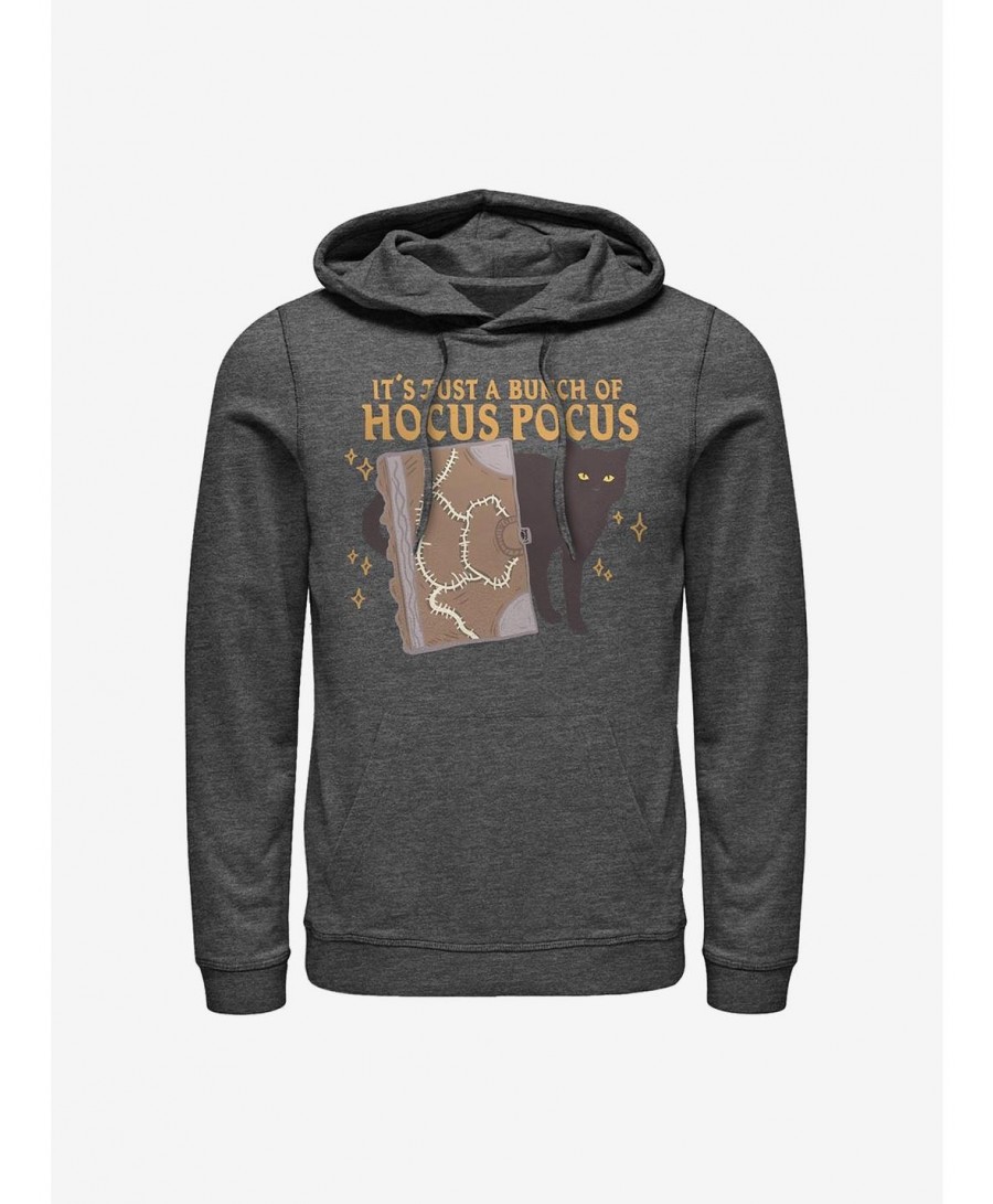 Exclusive Price Disney Hocus Pocus Binx And Book Hoodie $14.73 Hoodies